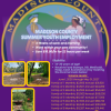 mad co syep deadline